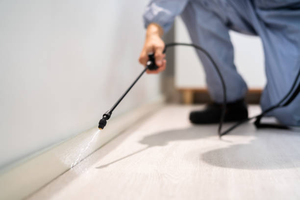 Licensed Fumigation Services service in Broadwater County County, MT - Nex Pest Control